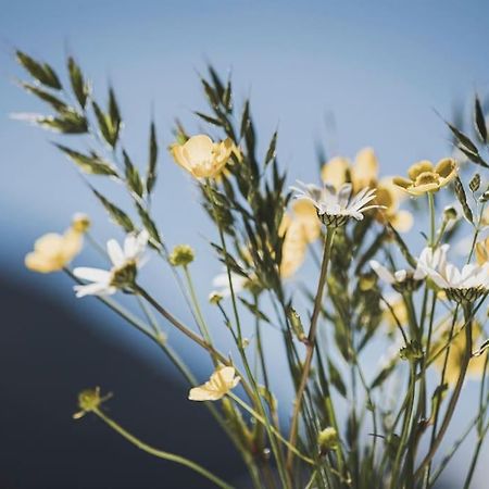 Appartamento Alpenrose Ramsau im Zillertal Esterno foto