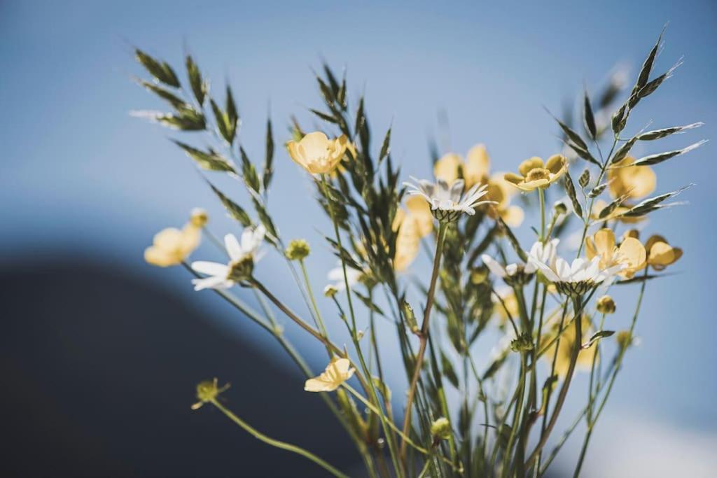 Appartamento Alpenrose Ramsau im Zillertal Esterno foto