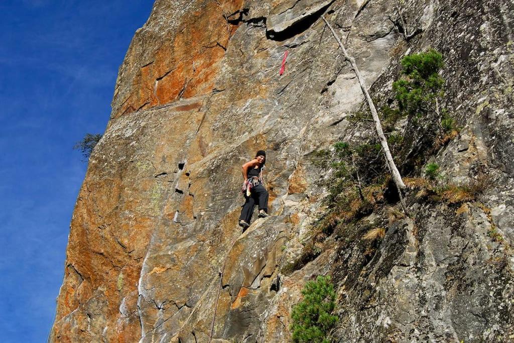 Appartamento Alpenrose Ramsau im Zillertal Esterno foto